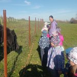 phoca_thumb_m_u kon 11 Fotogalerie